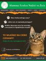 Miniatura wersji z 14:33, 25 sty 2015