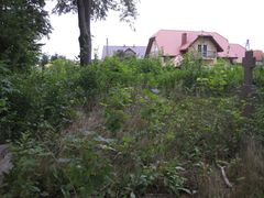Pozostałości cmentarza ewangelickiego. Źródło: Wikimedia Commons