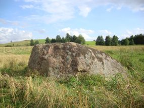 Głaz narzutowy w pobliżu Tatarskiej Góry © Alicja Szarzyńska
