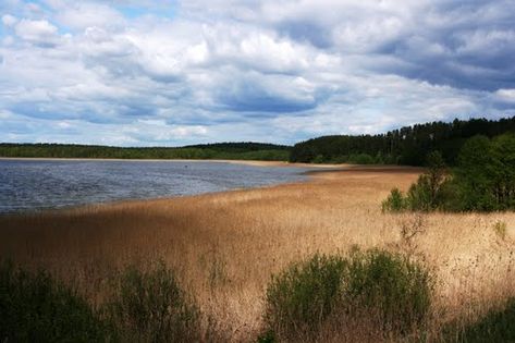 Jezioro Warnołty  Fot. JoMiRo. Źródło: en.wikigogo.org